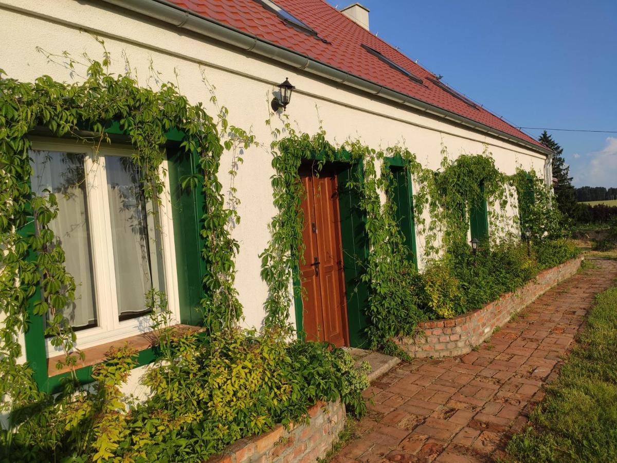 Srokowski Dwor 1 - Mazurski Dwor - 450M2 Srokowo Bagian luar foto